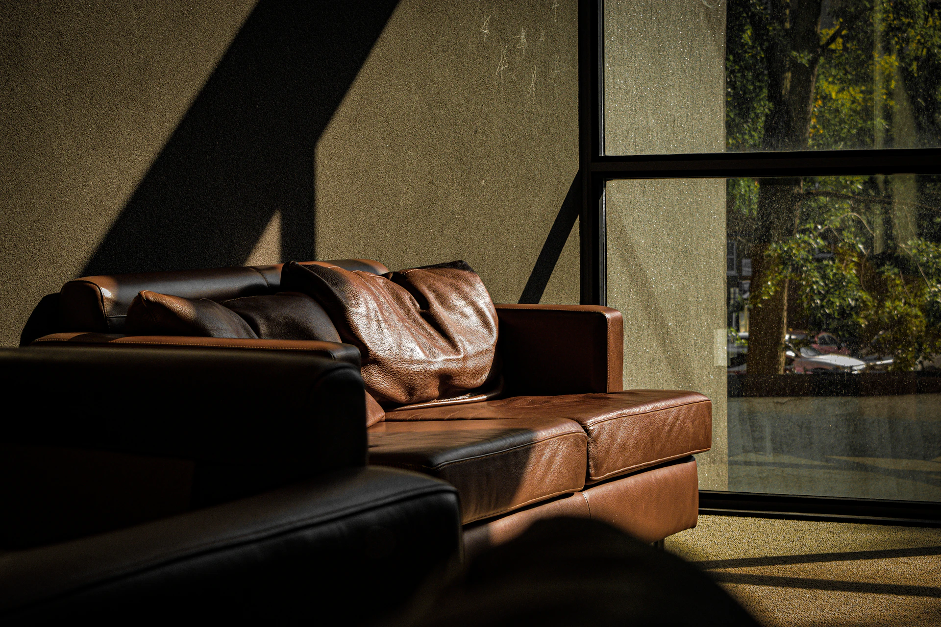 Brown leather sofa in dramatic window light